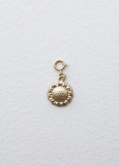 14K Gold Filled Charms 