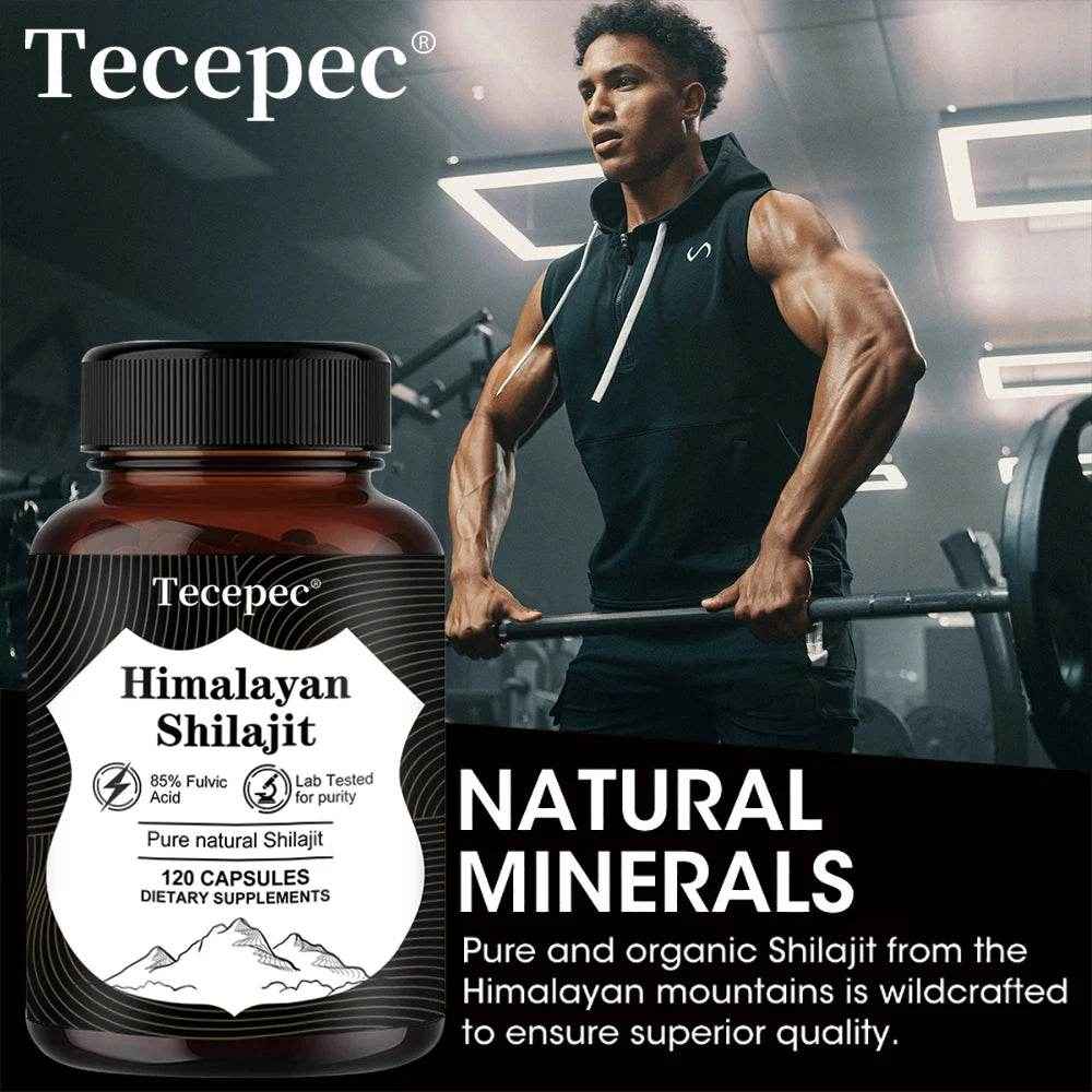 Himalaya Muscle Growth Supplements - Tecepec Shilajit