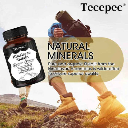 Himalaya Muscle Growth Supplements - Tecepec Shilajit