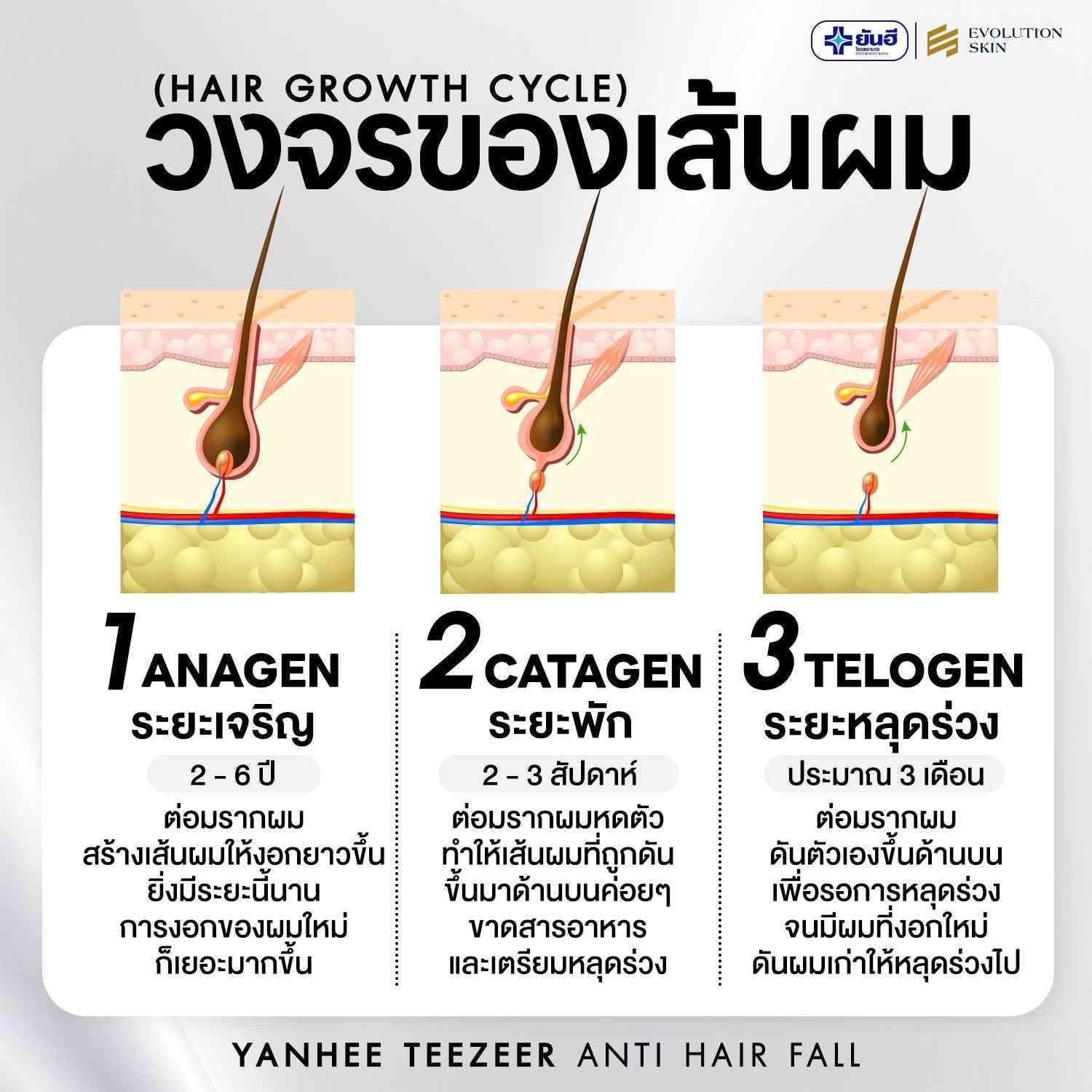 Yanhee Teezeer Shampoo 200 ml and Teezeer Serum Anti Hair Fall Control Serum 60 ml