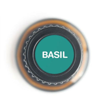 Basil Essential Oil - 100% Pure Ocimum Basilicum for Aromatherapy 15ml