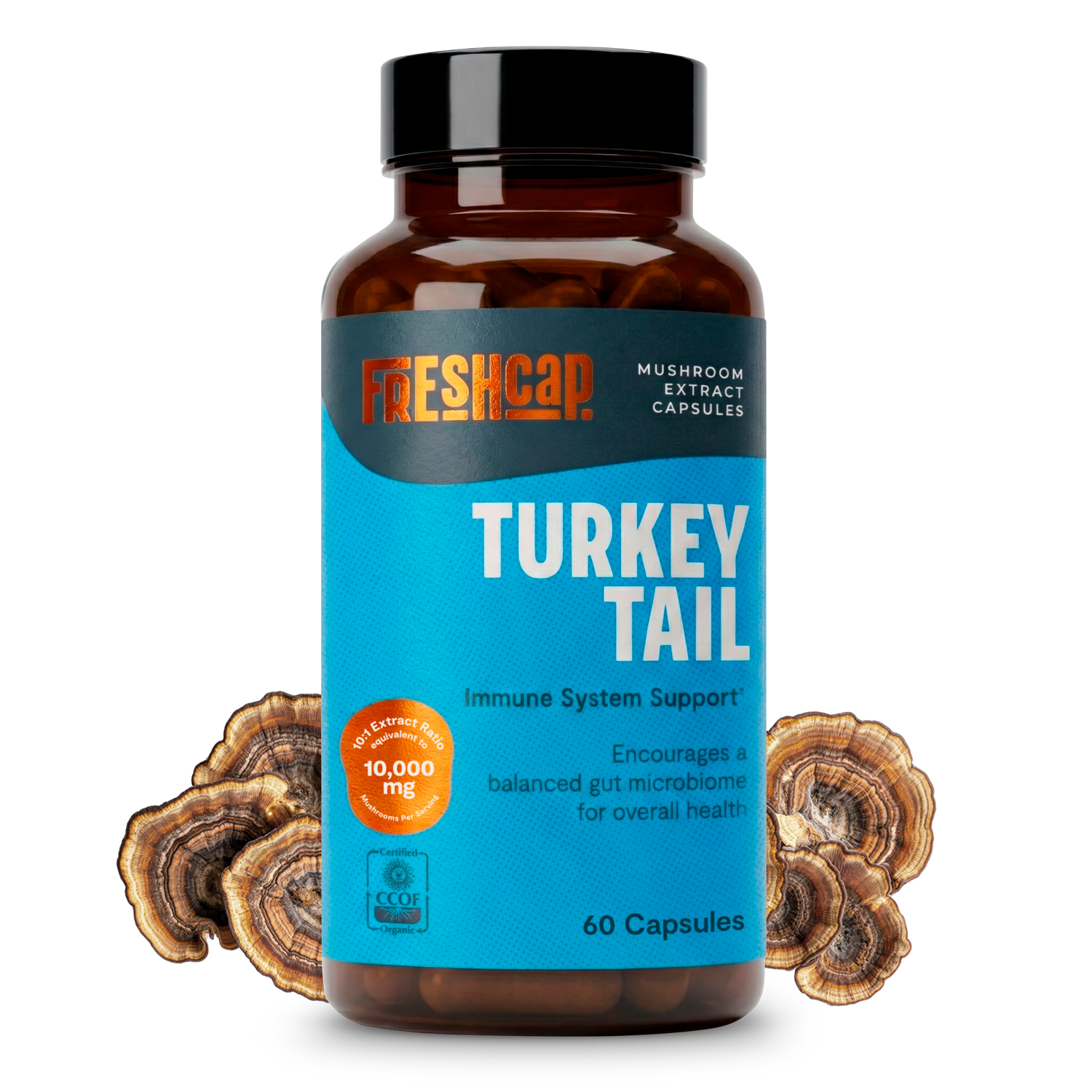 Organic Turkey Tail Mushroom Capsules by FreshCap Mushrooms
