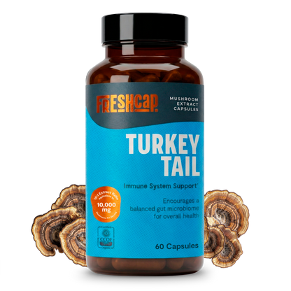 Organic Turkey Tail Mushroom Capsules by FreshCap Mushrooms