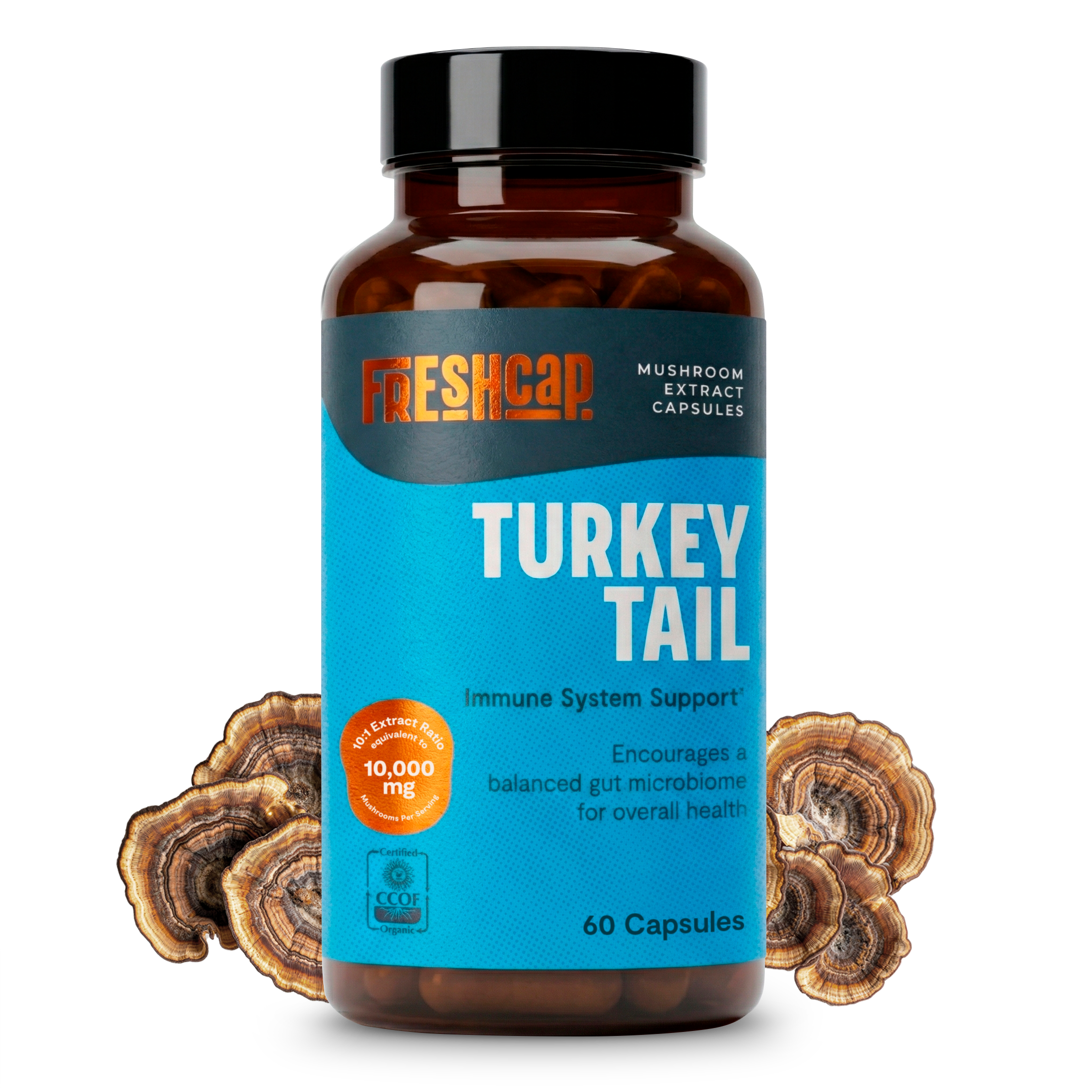 Turkey Tail Mushroom Extract Capsules by FreshCap Mushrooms