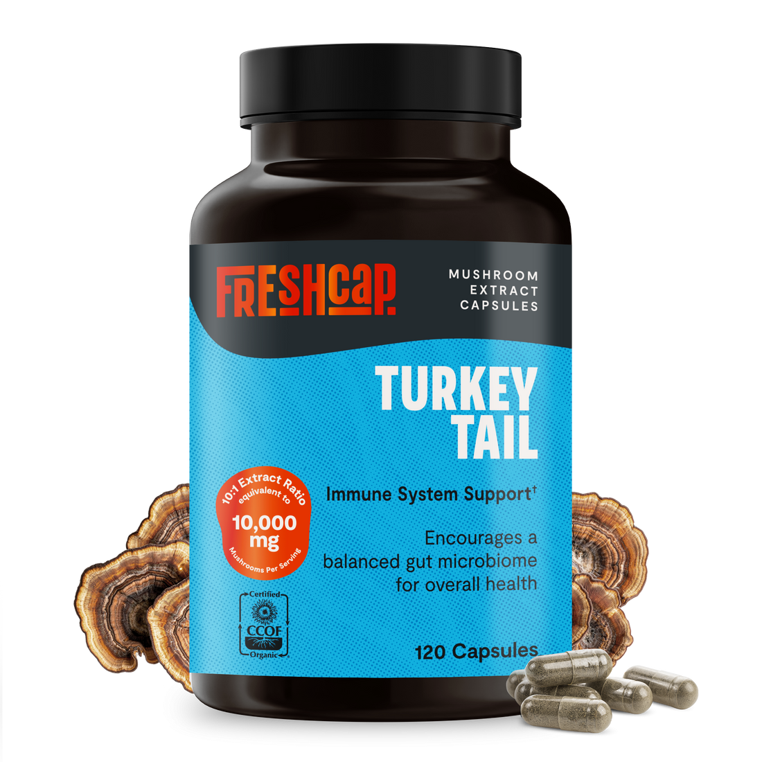 Turkey Tail Mushroom Extract Capsules