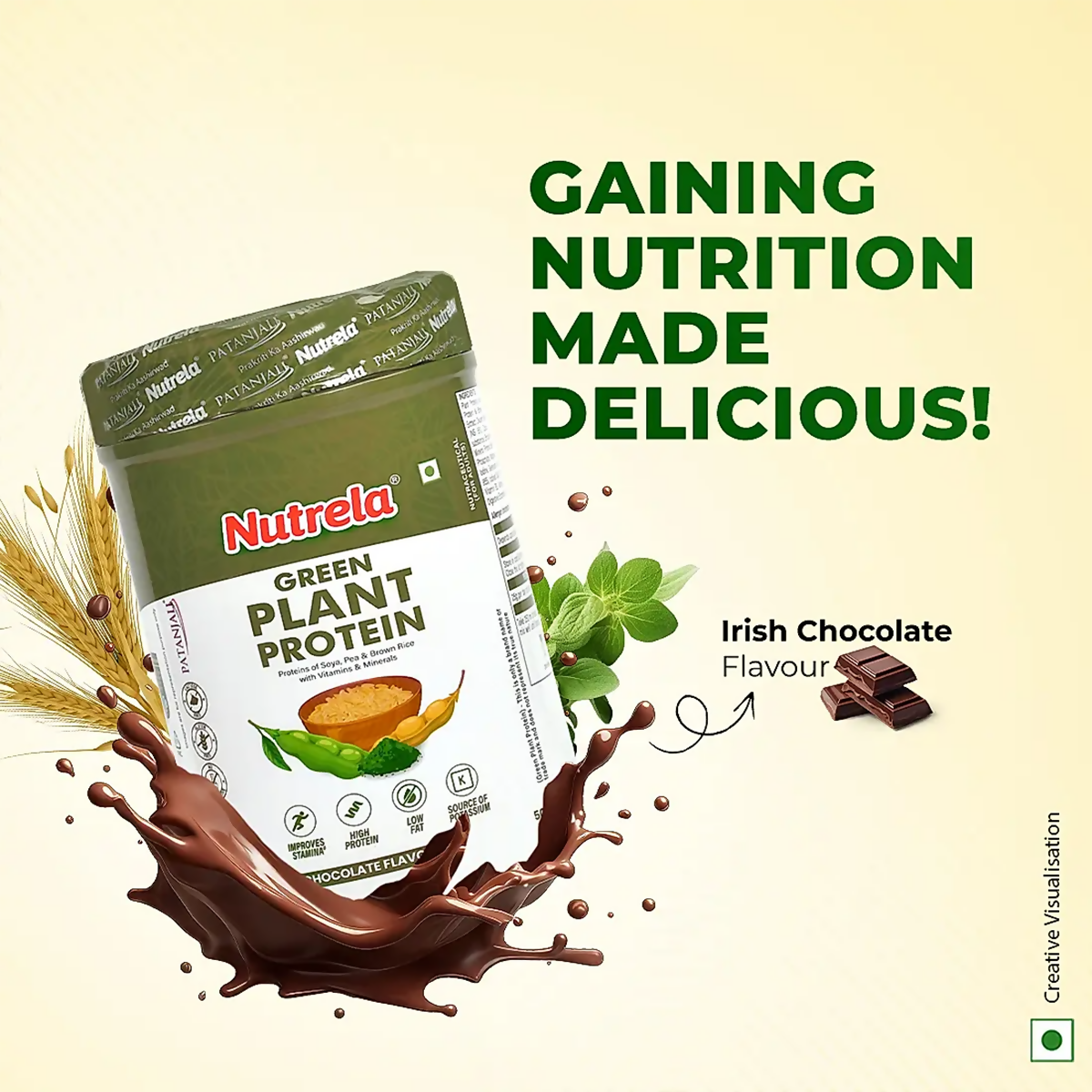 Patanjali Nutrela Green Plant Protein Chocolate Flavour