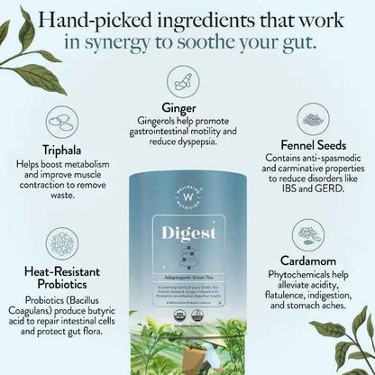 Wellbeing Nutrition Digest Green Tea