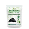 Yuvagrow Dried Blueberries