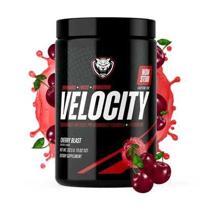 VELOCITY (NO Caffeine PRE!) by 6AM RUN