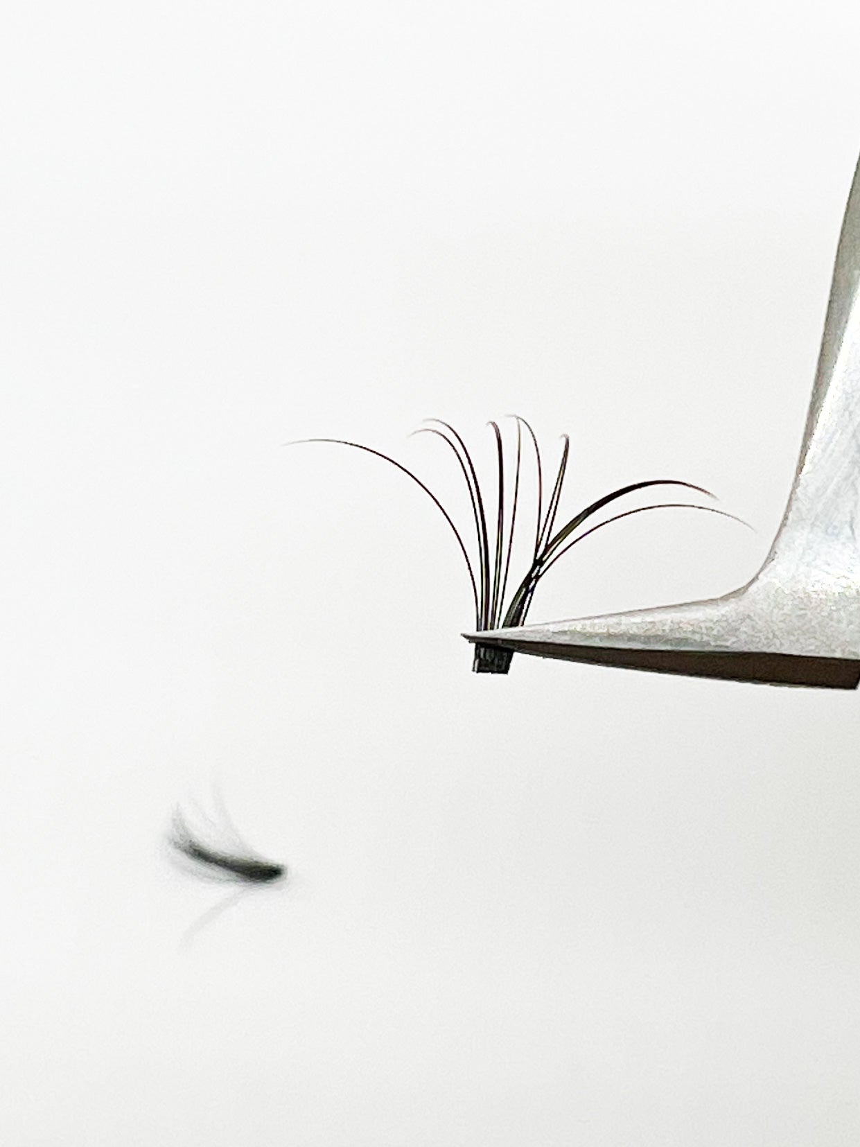 VIP Quick Fan Lashes DD 05 &amp; DD 07, CC 05 &amp; CC 07