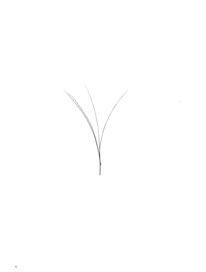 VIP V Type Easy Fan Lashes, 0.5 C Curl, 12 Lines