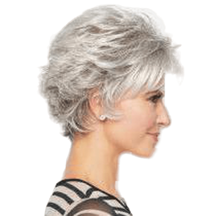 Raquel Welch Voltage Wig