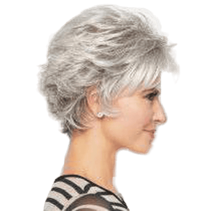 Raquel Welch Voltage Wig