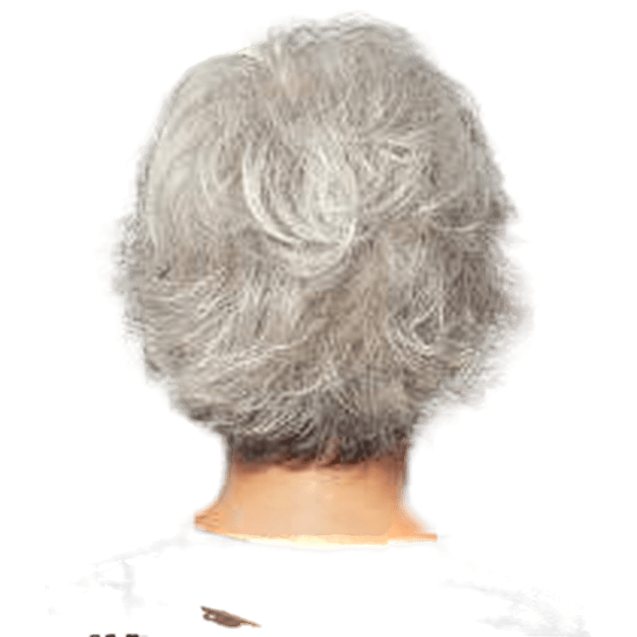 Raquel Welch Voltage Wig