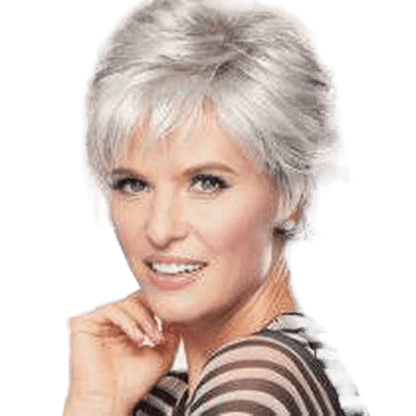 Raquel Welch Voltage Wig