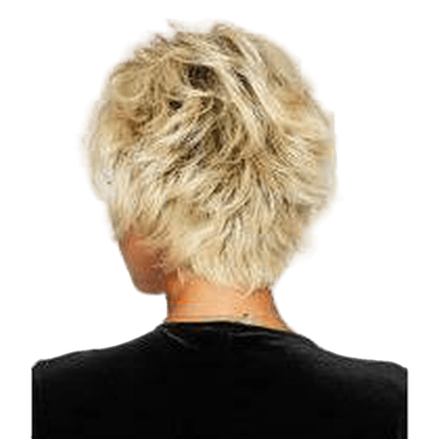 Raquel Welch Voltage Wig