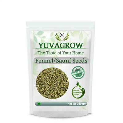 Yuvagrow Saunf Seeds