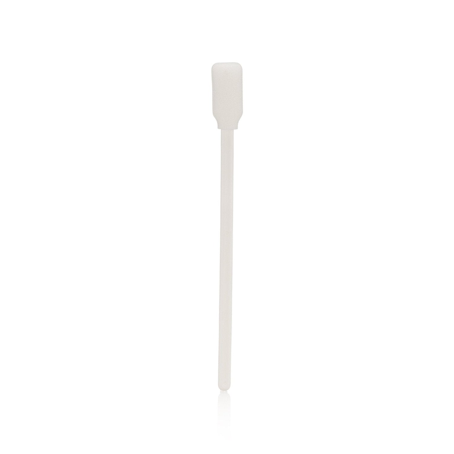 Walker Tape Brush and Sponge Glue Applicator