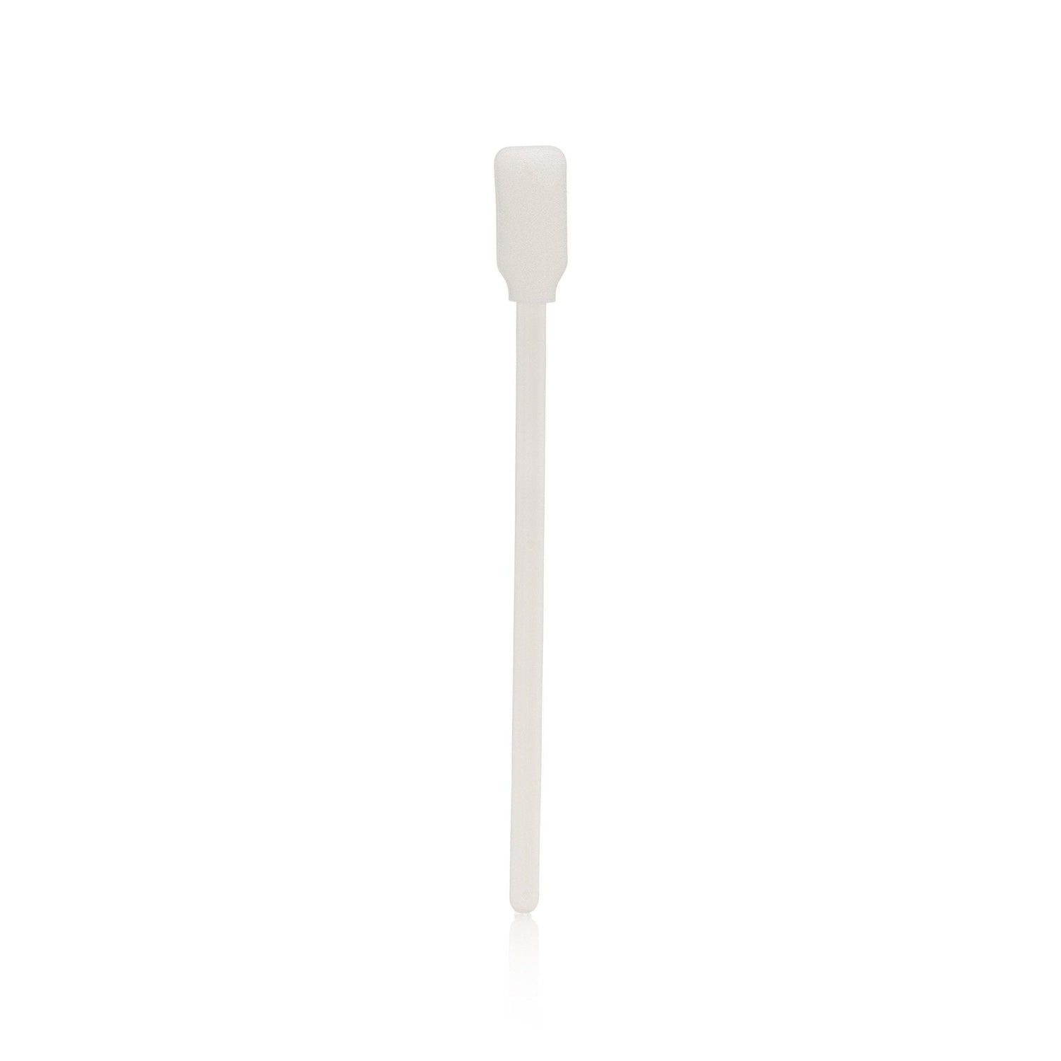 Walker Tape Brush and Sponge Glue Applicator