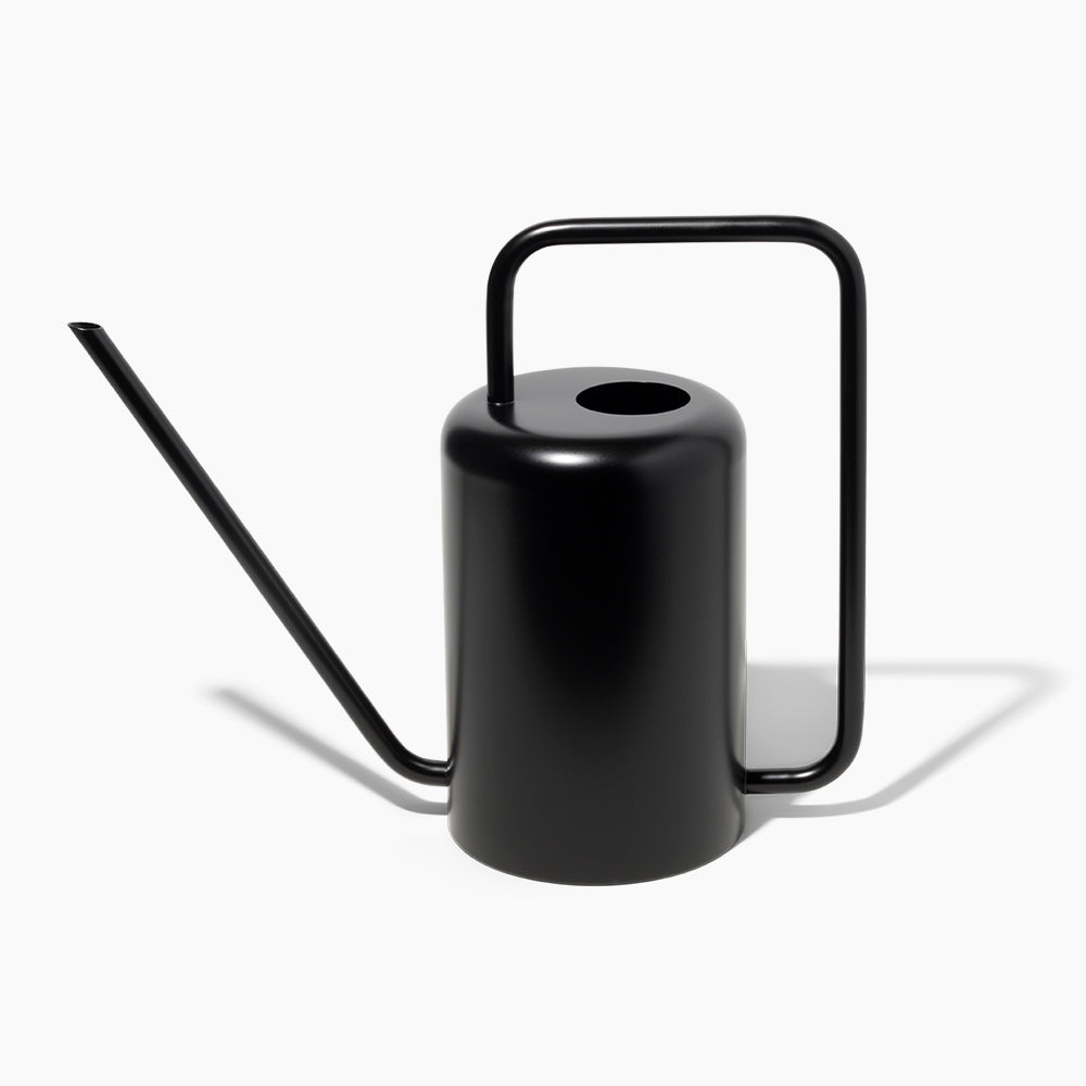 Stainless Steel Watering Can 