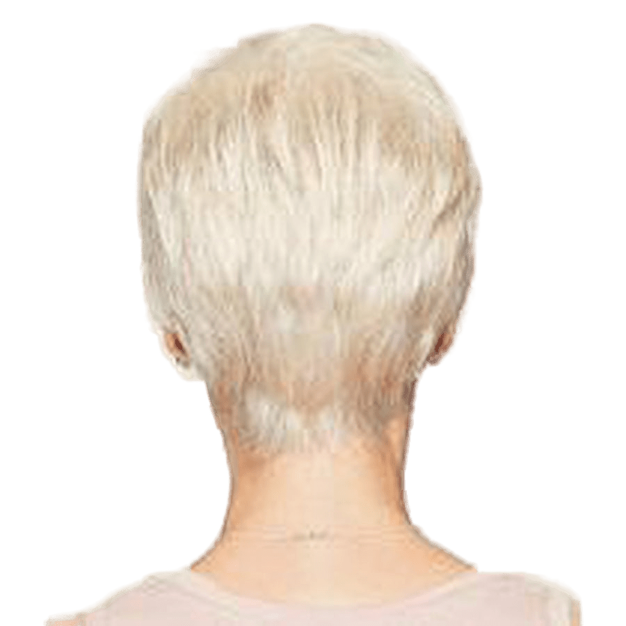 Raquel Welch Winner Wig Hairpiece - Petite