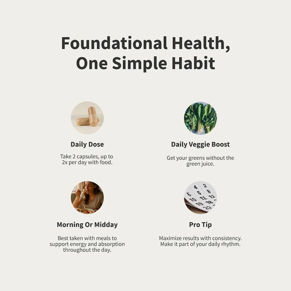 Daily Multivitamin for Women by Snap Supplements