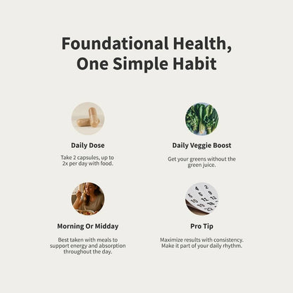 Daily Multivitamin for Women by Snap Supplements