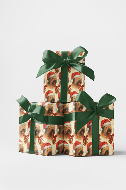 Tidings Beneath Tasseled Curls