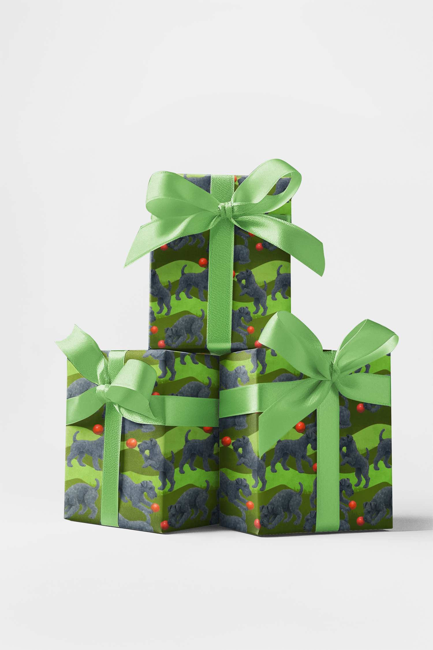 Garden Kerry Blue Terrier