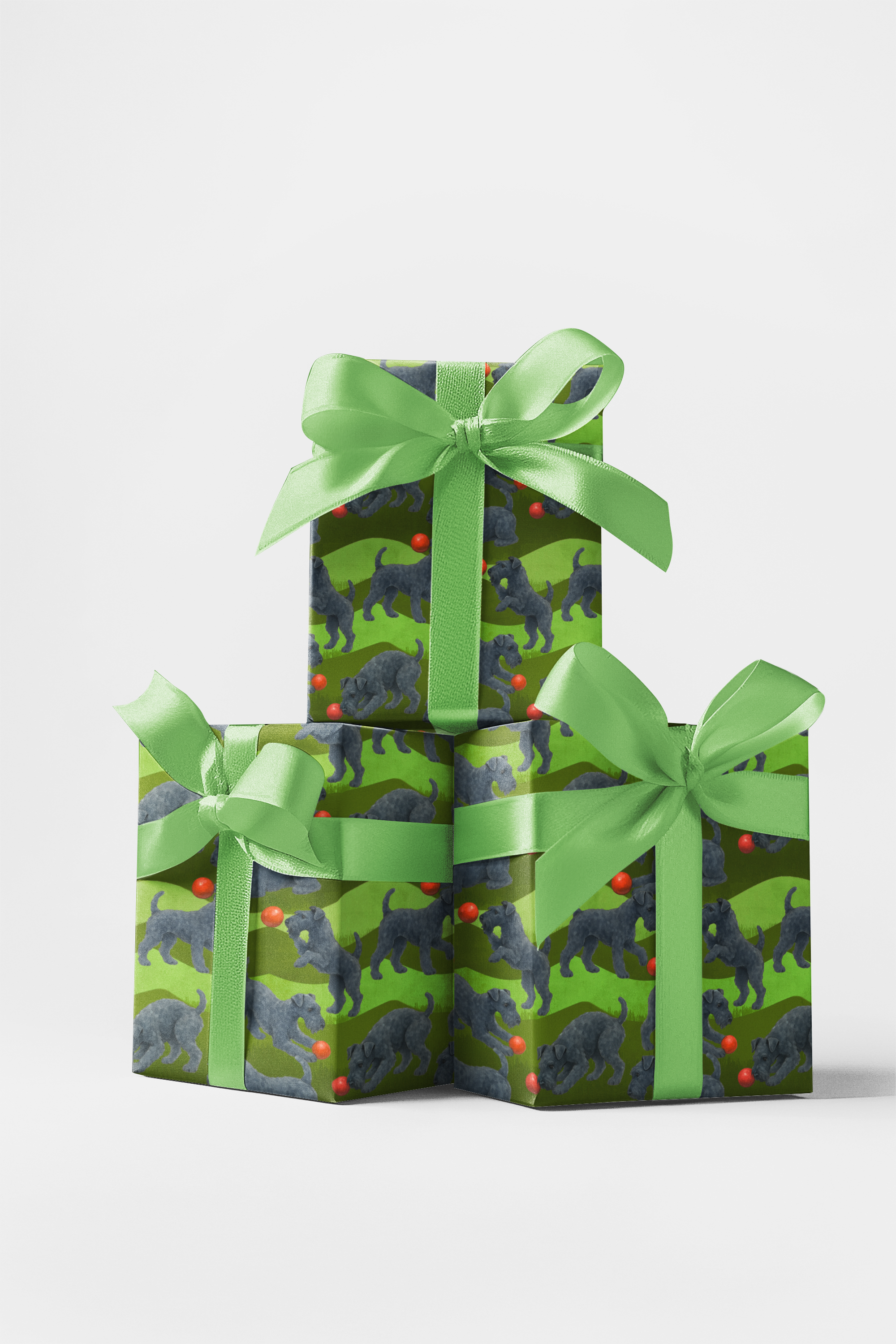 Garden Kerry Blue Terrier