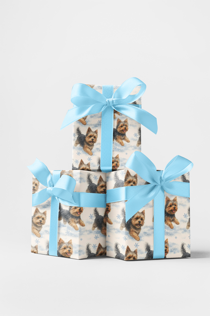 Dashing Through the Snow