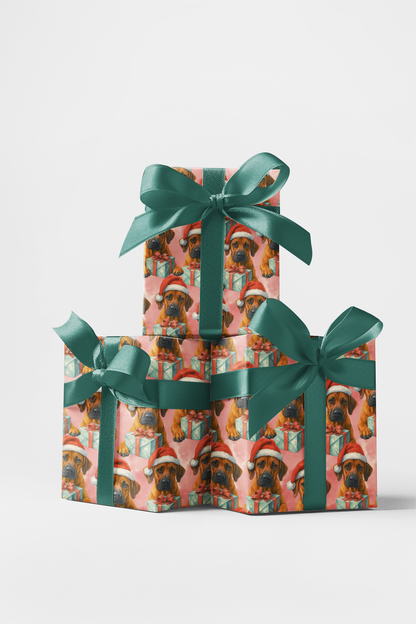 Courage Wrapped in Candlelight