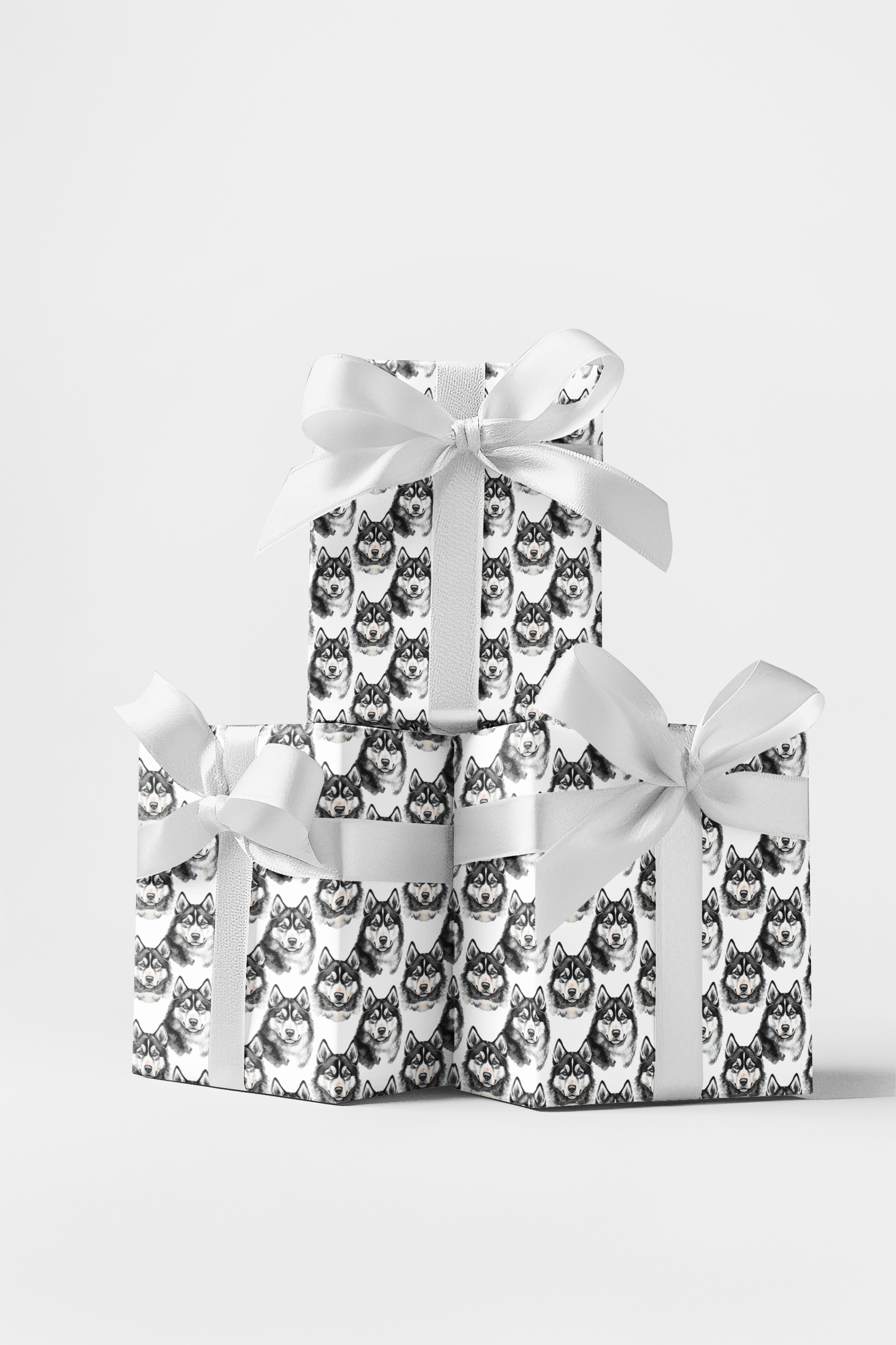 Snow Trails &amp; Husky Tails