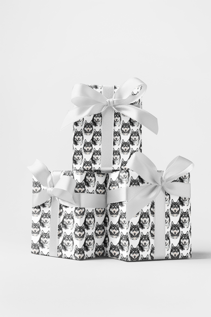 Snow Trails &amp; Husky Tails