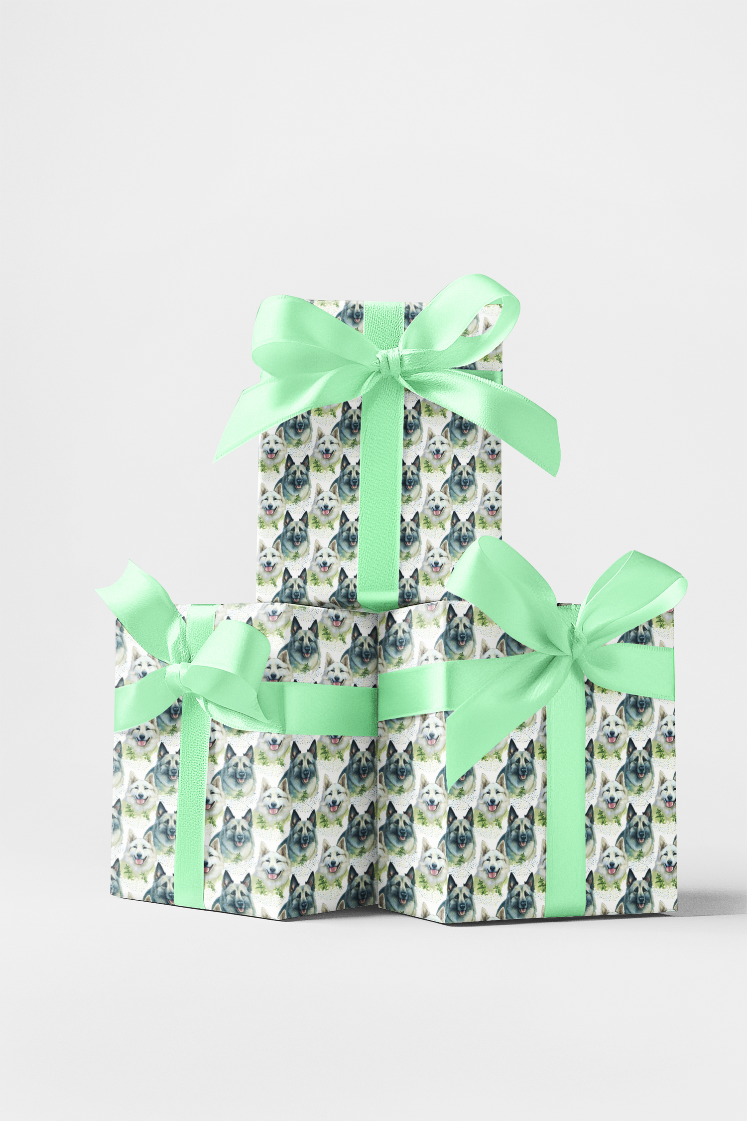 Shiloh Shepherd 
Adorable