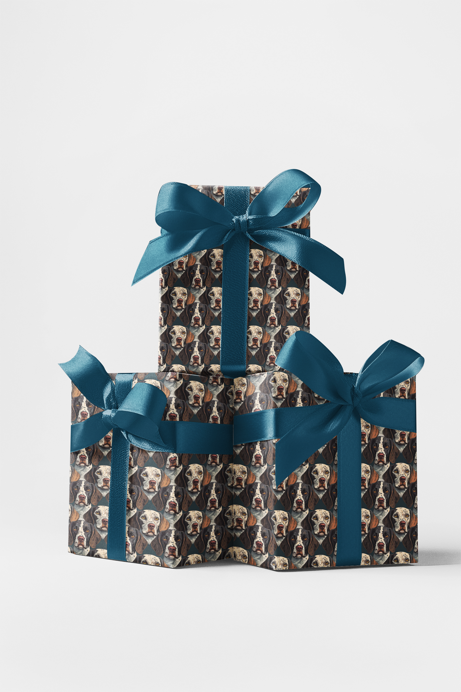 The Pointer’s Path