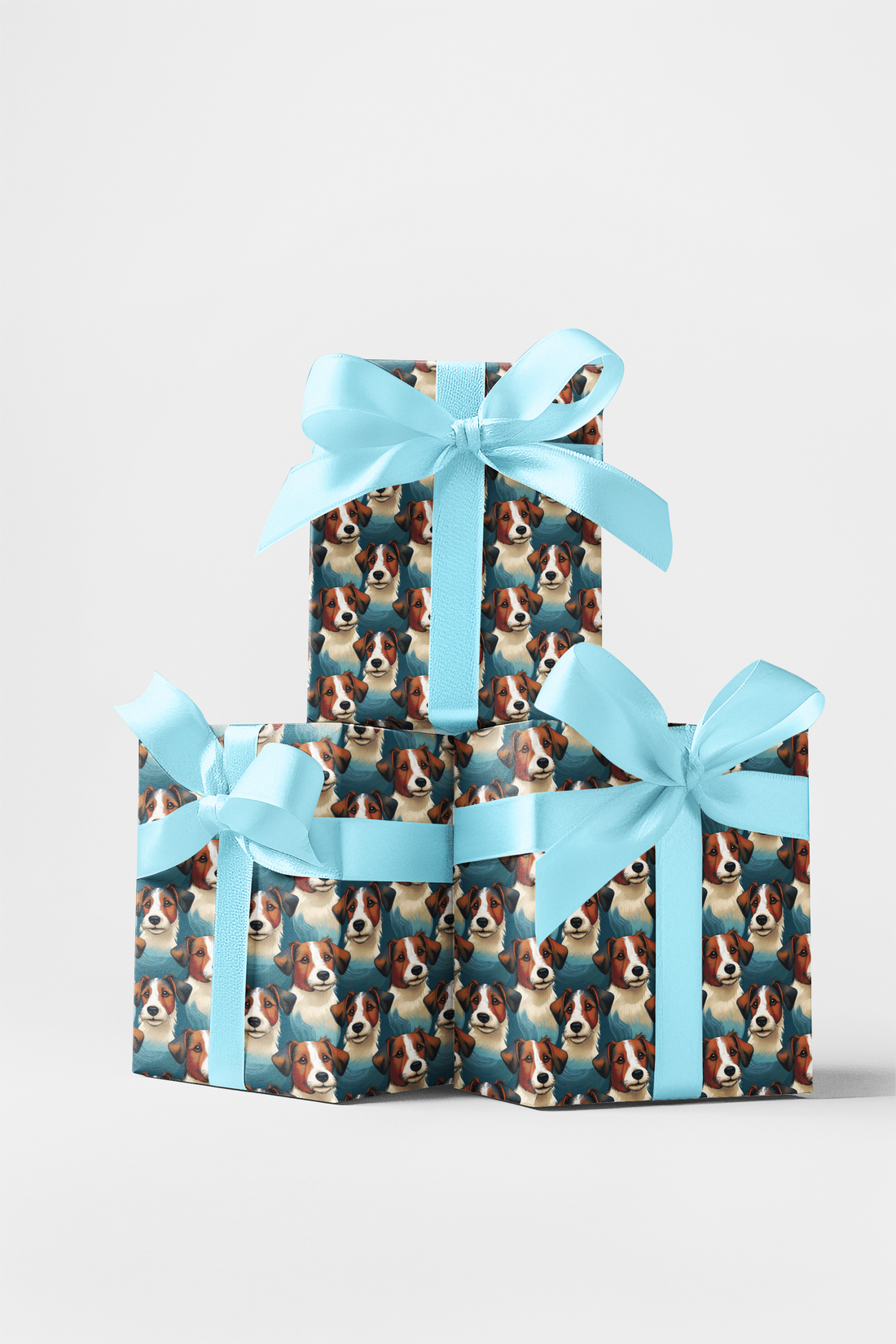 Jack Russell  Terrier Tenacity