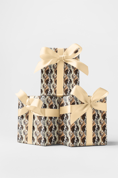 Setters in Stillness