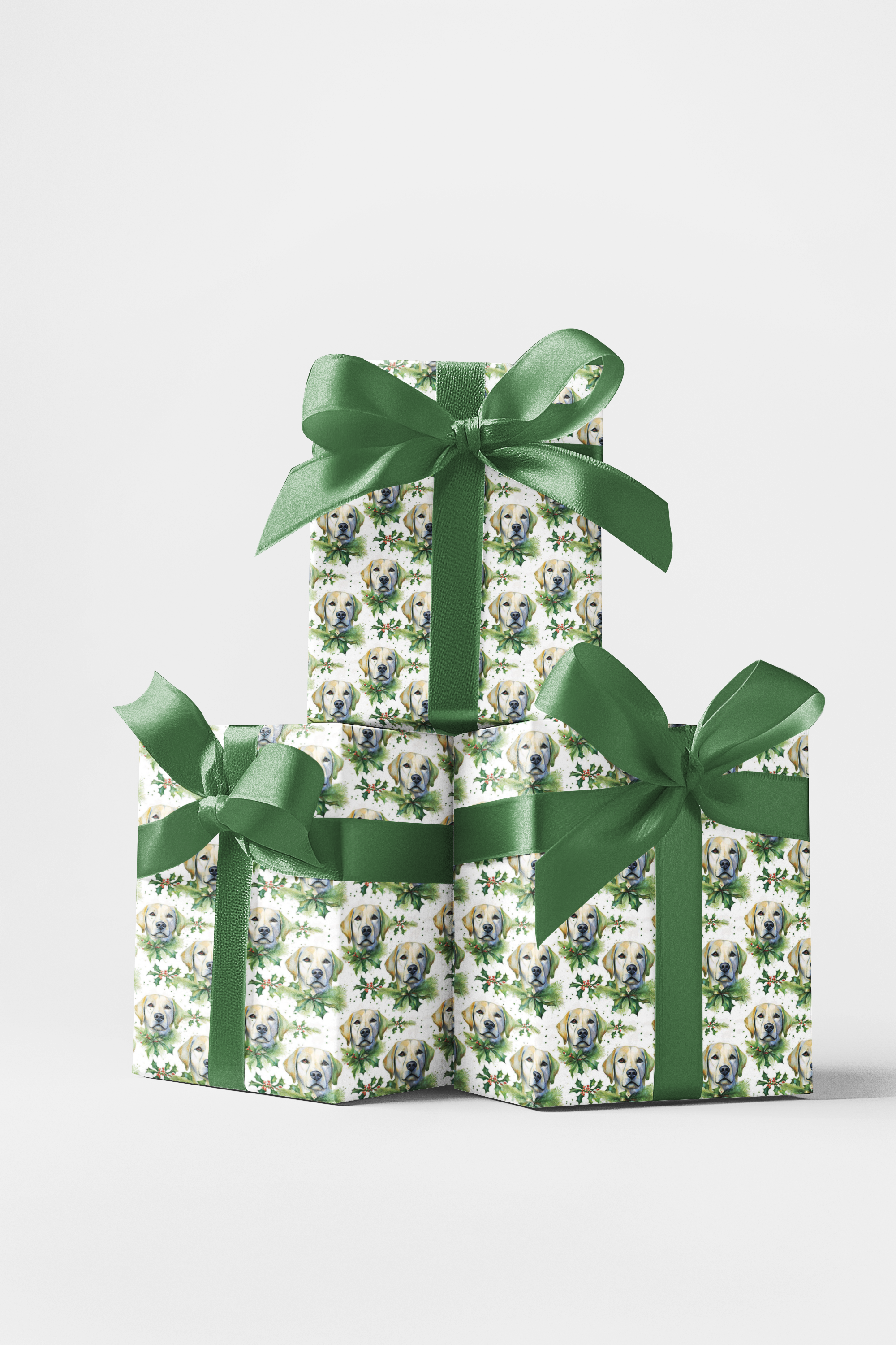 Wrapped in Golden Woofs