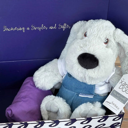 Xander Stuffed Dog Gift Set - With Clothing &amp; More by Lavender Life Company