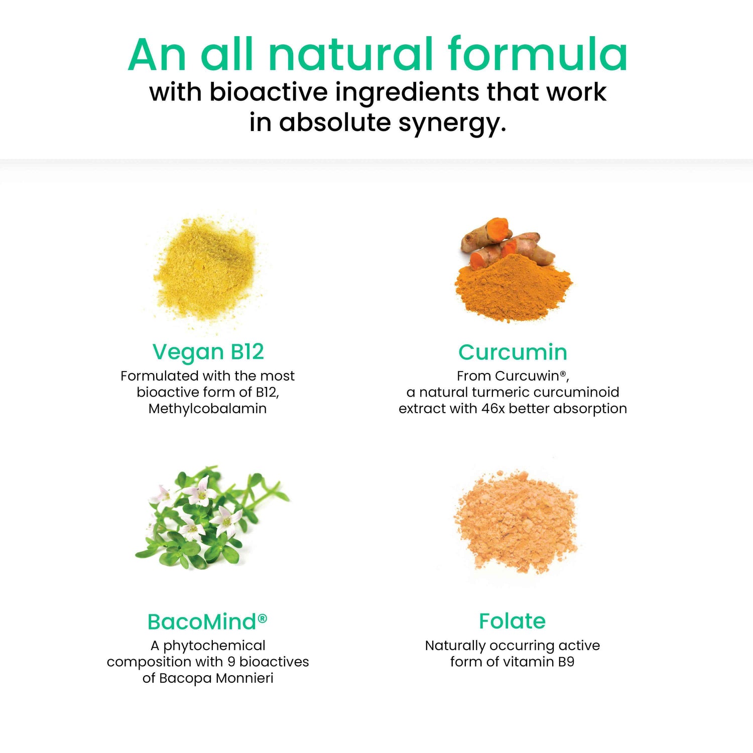 Wellbeing Nutrition Melts Vegan Vitamin B12 Thin Strips-Misty Orange Mint Flavor