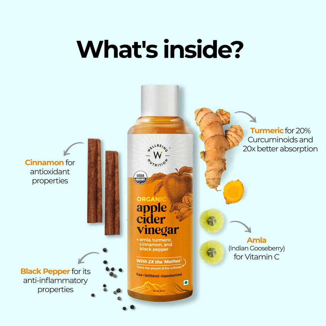 Wellbeing Nutrition Organic Apple Cider Vinegar with 2X Mother - Amla, Turmeric, Cinnamon, and Black Pepper